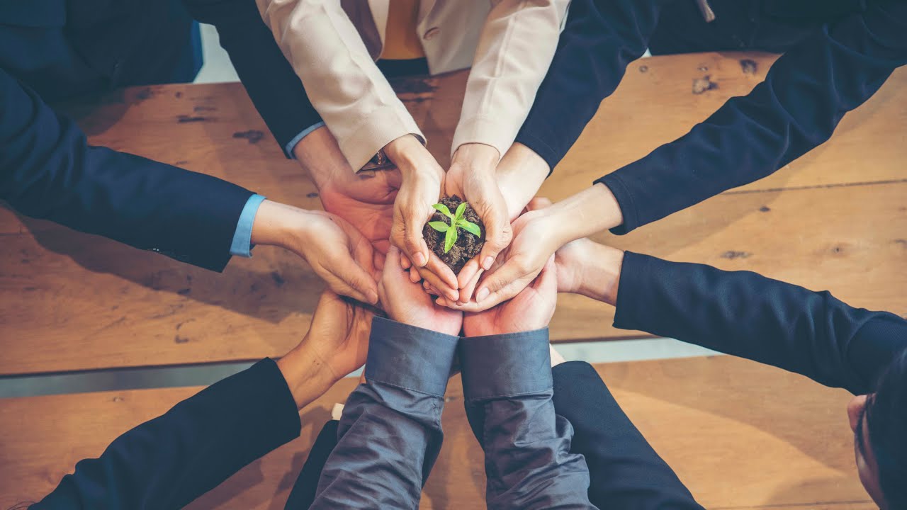 Social Responsibility and Consumer Trust.