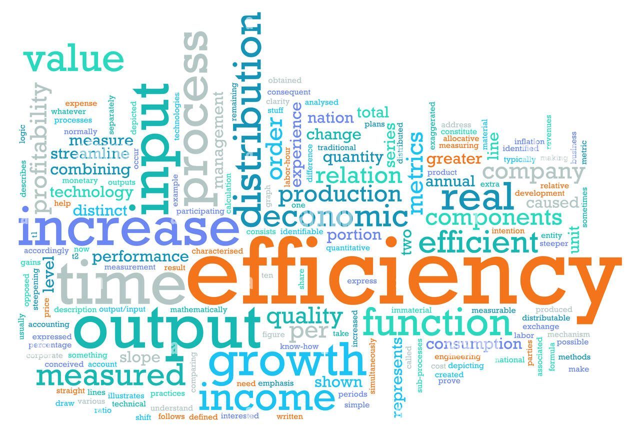 The Efficiency Paradox. When Numbers Help and Hinder Growth